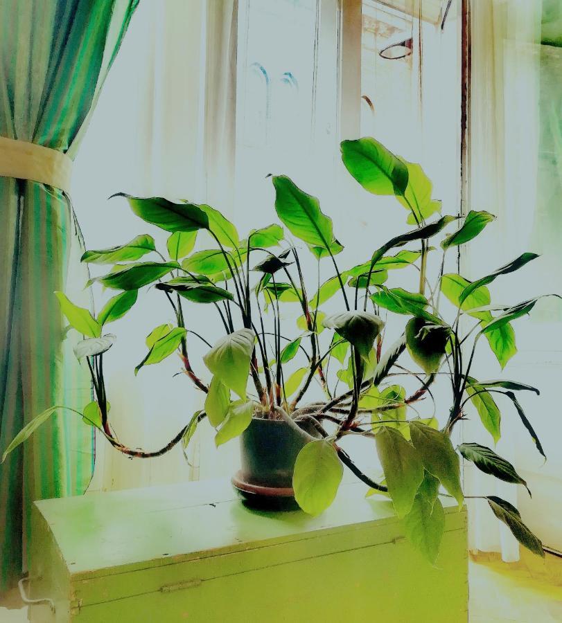 Prater Noster Apartment ブダペスト エクステリア 写真